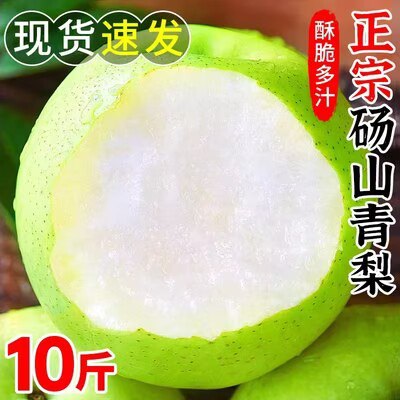 4.8亓?正宗砀山梨子3斤)qskgdFyIlGa)/ CZ11//