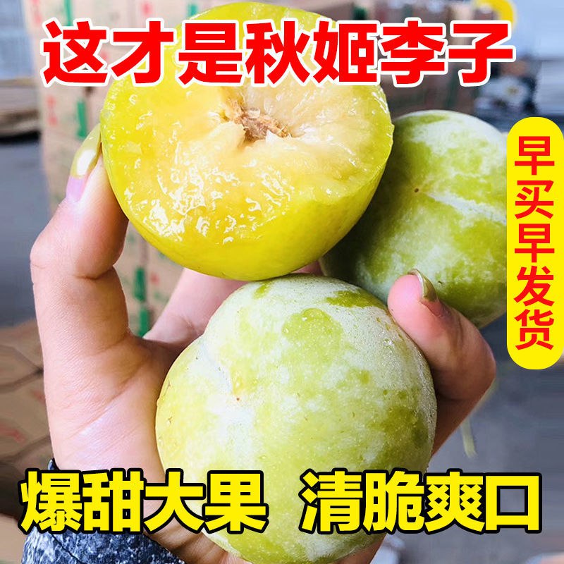 新鲜秋姬李子水果脆甜爽口应季脆李子鲜果陕西特产多多.果园批发【7月31日发完】7.9元