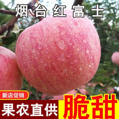 山东烟台栖霞红富士苹果新鲜水果产地直发3斤5斤10斤整箱批发脆甜，5.99元