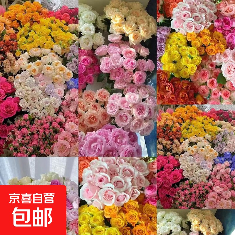 京喜自营 云南玫瑰鲜花 随机10枝