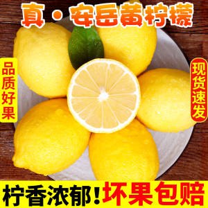 0点开始 2.6元秒杀  不对则无!四川安岳黄柠檬当季鲜果500g)yqNx2z9RKG7)/ CZ11/30-60g迷你果 可以切片泡水喝酸甜多汁，VC超高！坏果包赔