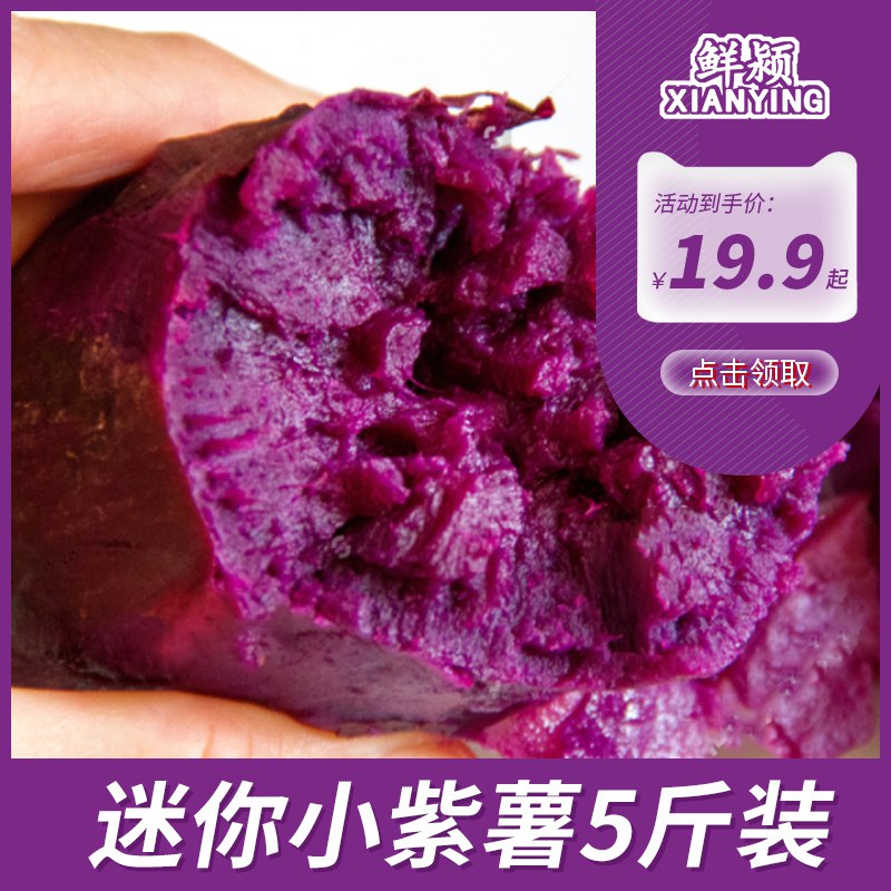 0点开始 14.9元新鲜蜜甜紫薯精品2400g(vDT5cf1y2jp)/