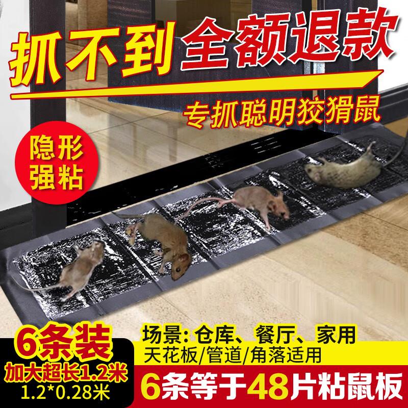 199-100 券叠加楚捷雅75折