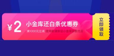 小金库还白条1000-2