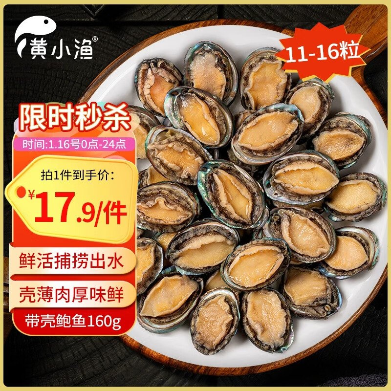 自营黄小渔 鲜冻带壳鲍鱼净重160g（11-16粒）