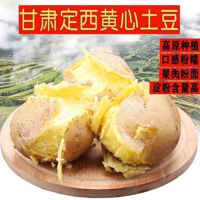 甘肃定西土豆新鲜黄心马铃薯新鲜土豆现挖精品蔬菜新洋芋土豆批发，0.6元