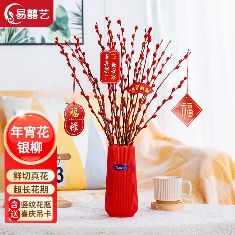 京东鲜花 年宵银柳20枝