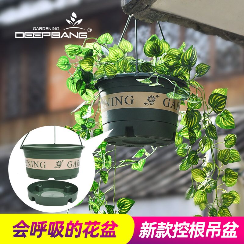 3.8元 悬挂式绿萝常春藤盆(PHmkXucpNQM)/ 红包：