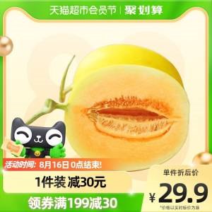27.9元【天猫超市包邮】甘肃民勤蜜瓜2-3枚共8斤(OwIX2tVVE1H)/88到手26.5，折3.3/斤！