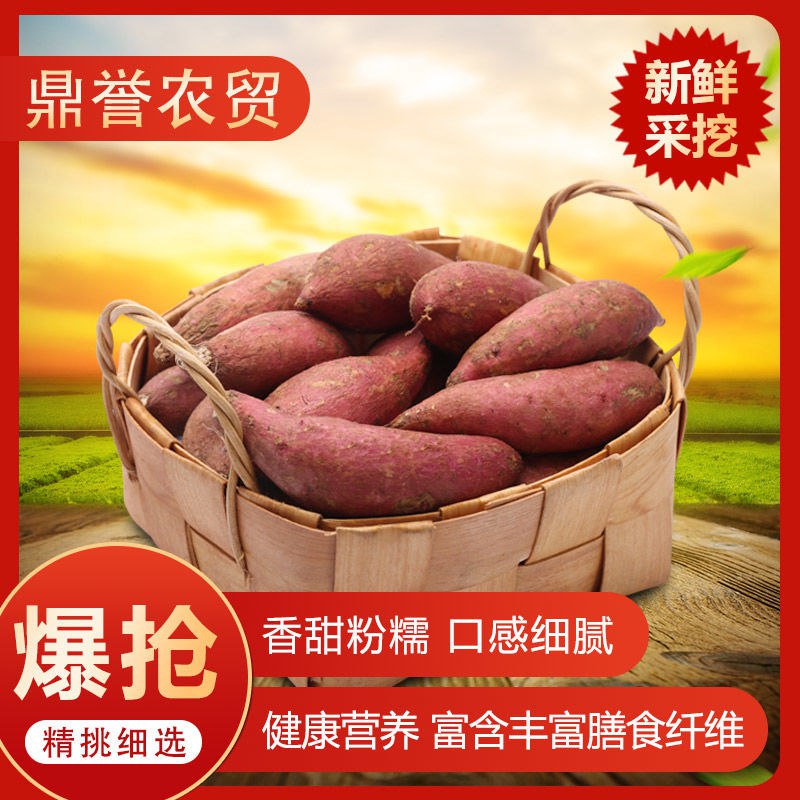 沙地自种现挖新鲜红黄心番薯红薯地瓜蜜薯西瓜红甜糯代餐3/5/10斤