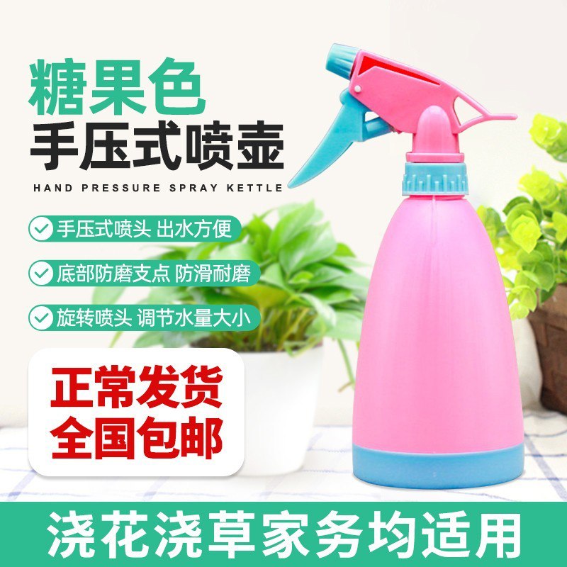 家用消毒液喷雾器浇花喷水壶2个装19 