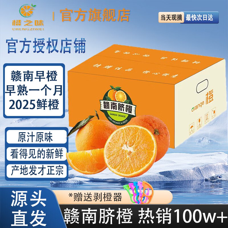 橙之味 江西赣南早脐橙净重9斤