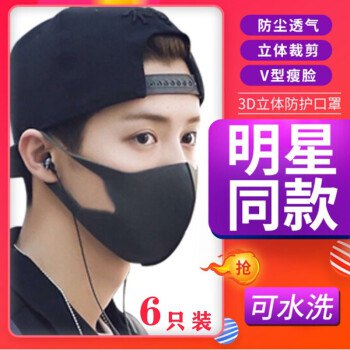 成人口罩 6只装，49.9 没有n95，这个可以用下