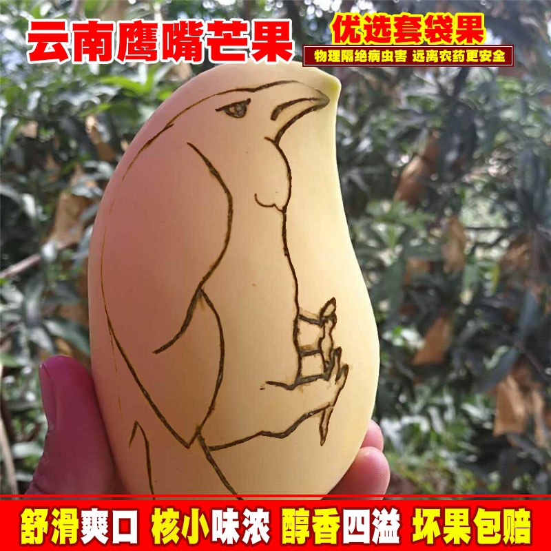 19.8💵 滇老头旗舰店云南新鲜鹰嘴芒果5斤装)qD9WdHIymOS)/ CZ11/