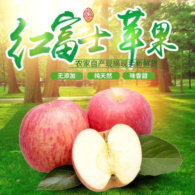 山东烟台红富士苹果脆甜多汁可口皮薄新鲜水果批发3斤/5斤/10斤