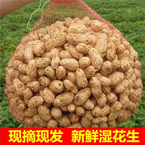 【新鲜花生】现挖带壳湿花生农家自种粉红皮水煮花生现摘现发包邮