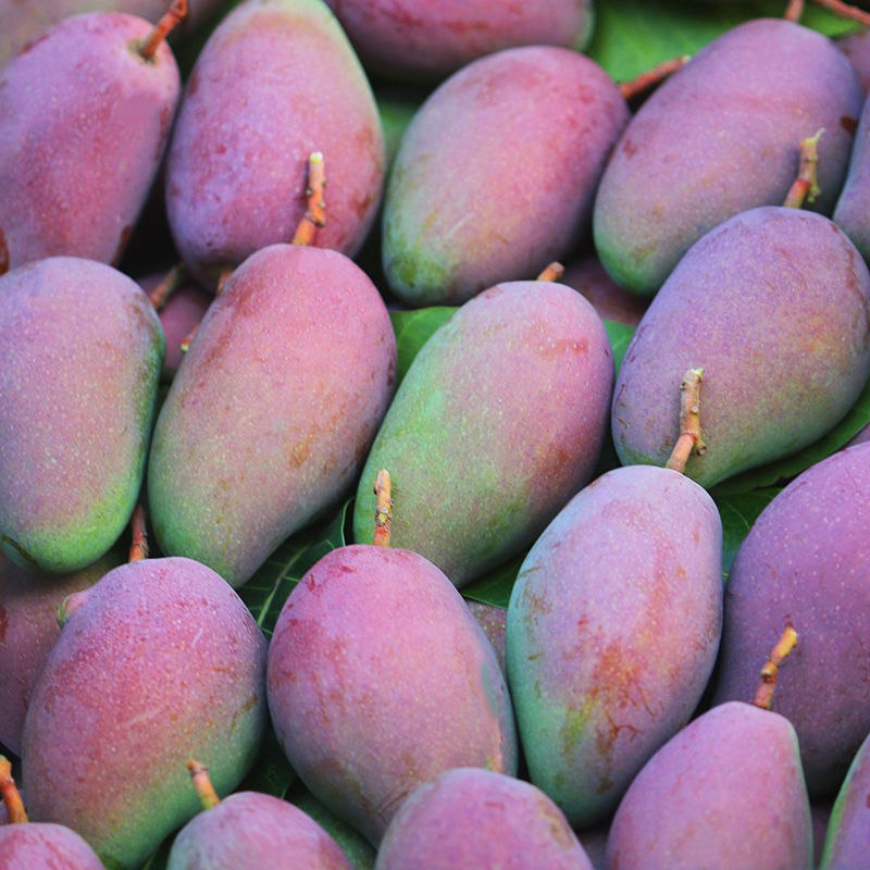 现摘现发海南贵妃芒    一定拍两件  