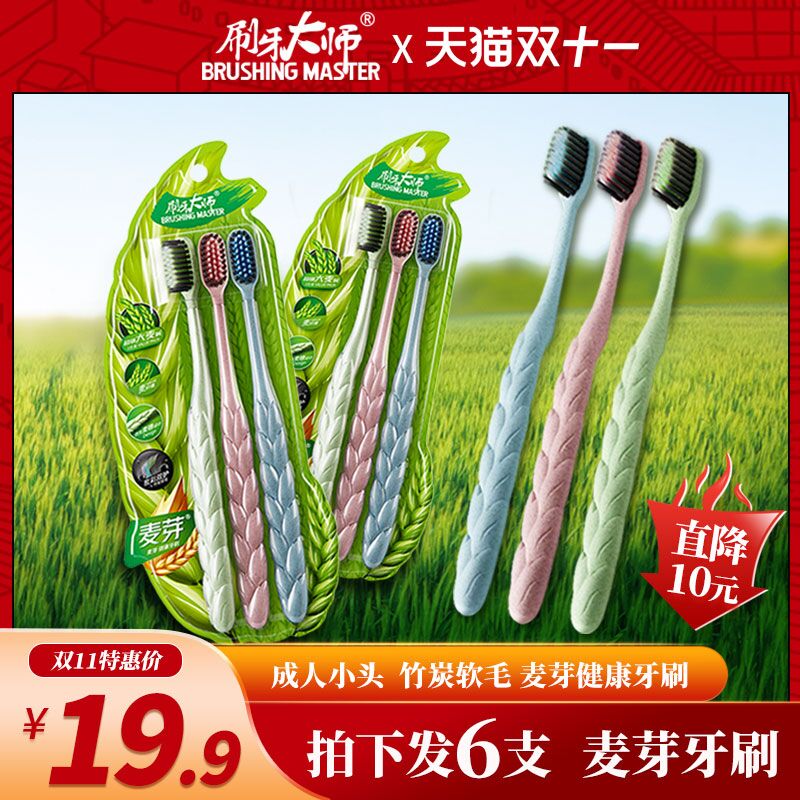 9.9元 刷牙大师竹炭牙刷6只(zPm8XEw5mlv)/  红包: 1111.xuooo.com