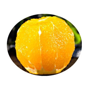 【顺丰包邮】奉节脐橙6斤大果28.8