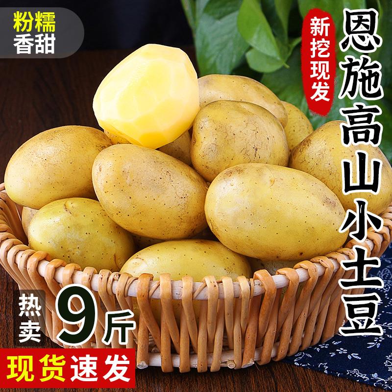 1💵补贴款正宗恩施小土豆500g/ CZ0001 /)WoVrdyA5UVn)//