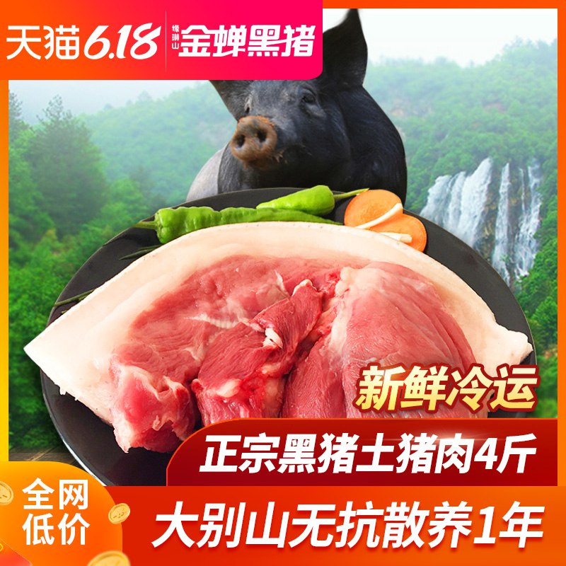 2、拍1  (P1yF1FJaJlN)