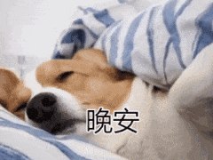 今晚很多好价 早起爬楼看看每天都会更新很多好价神价哦0点/10点 日常都有 多多留意小伙伴们晚安 没事多看群哦
