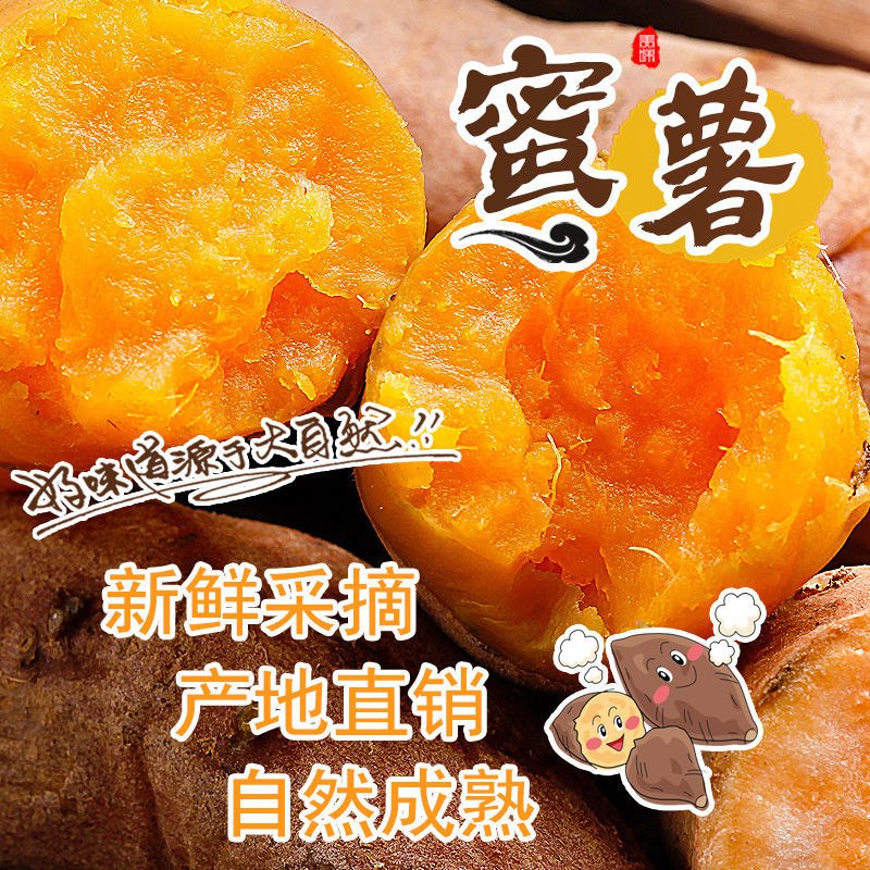 现挖现发新鲜红薯蜜薯香甜软糯沙地番薯仔农家地瓜2斤3斤5斤批发，1.9元