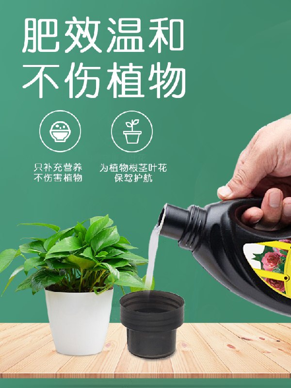5.8元 多肉爱好者看看植物通用型花卉营养液500ml(AU8GXREgUiz)/