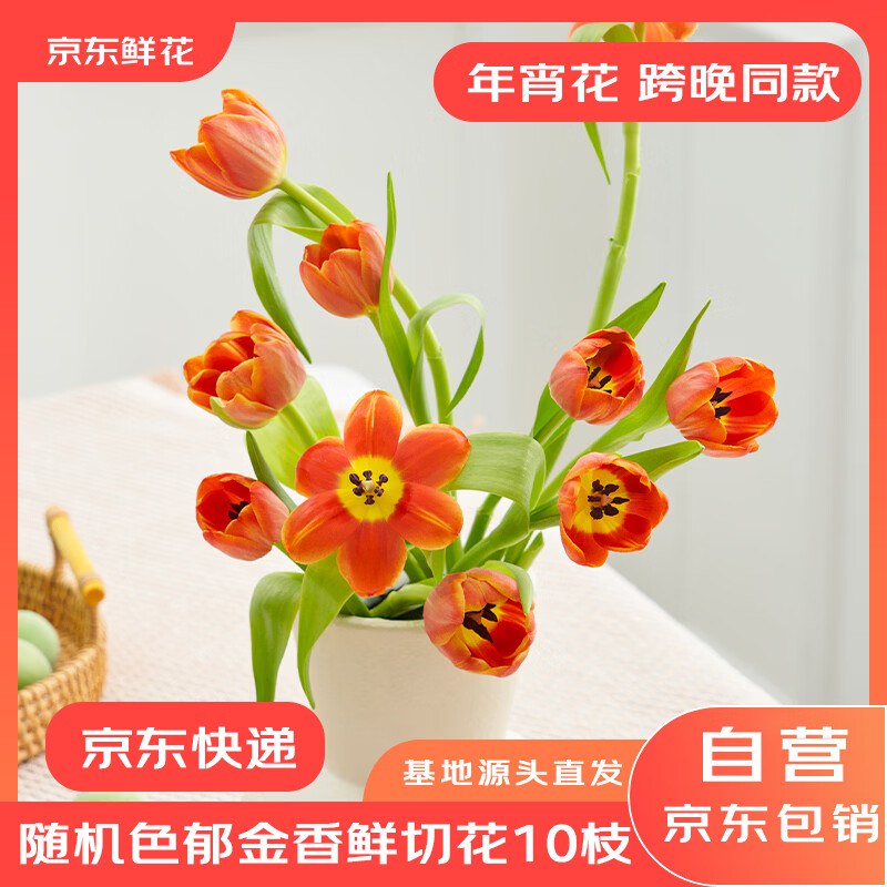 自营京东鲜花合集①18.71元 郁金香鲜枝盲盒款