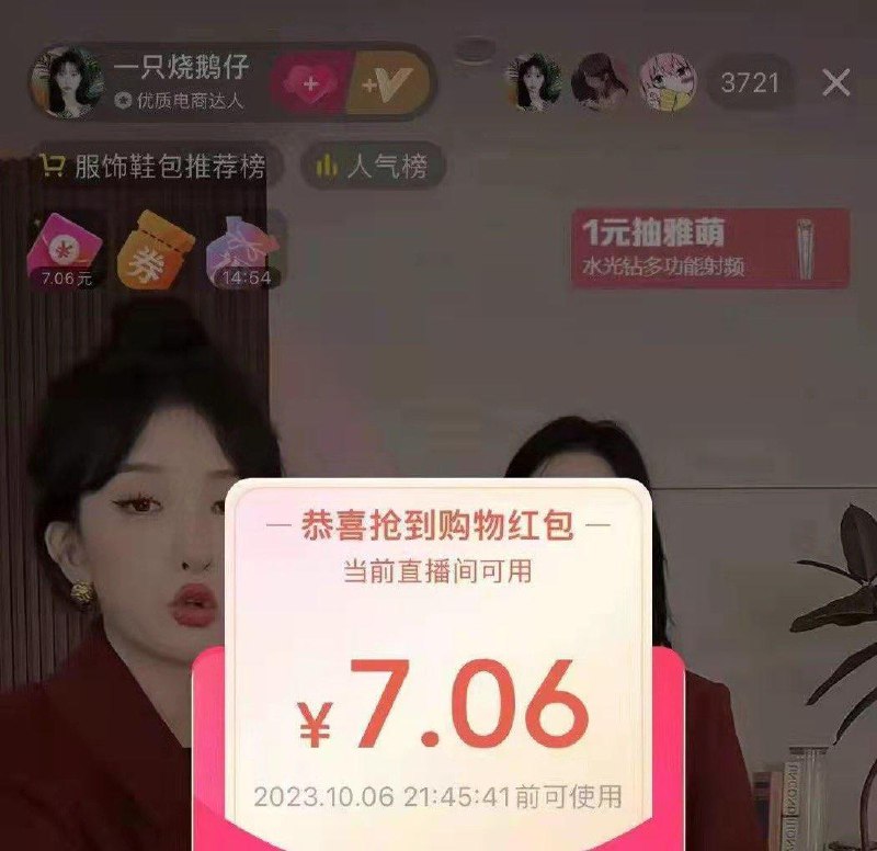 d y 一只烧鹅仔zbj洪包半小时有效有需可蹲橱窗9.9低价半小时可蹲3-4 波洪包