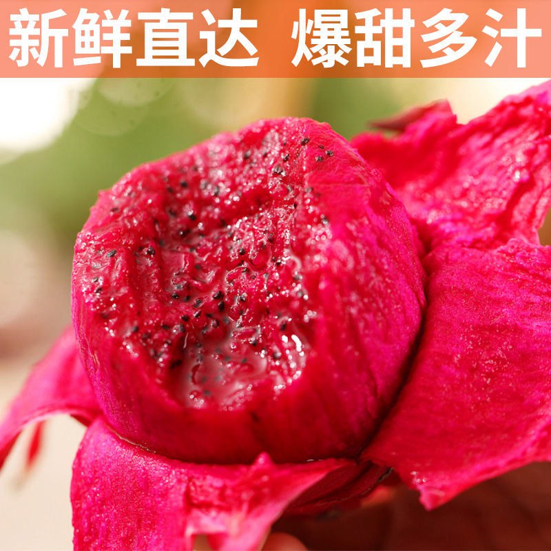 火龙果红心肉广西金都一号蜜宝小果新鲜迷你批发价5斤一整箱特价7.9元