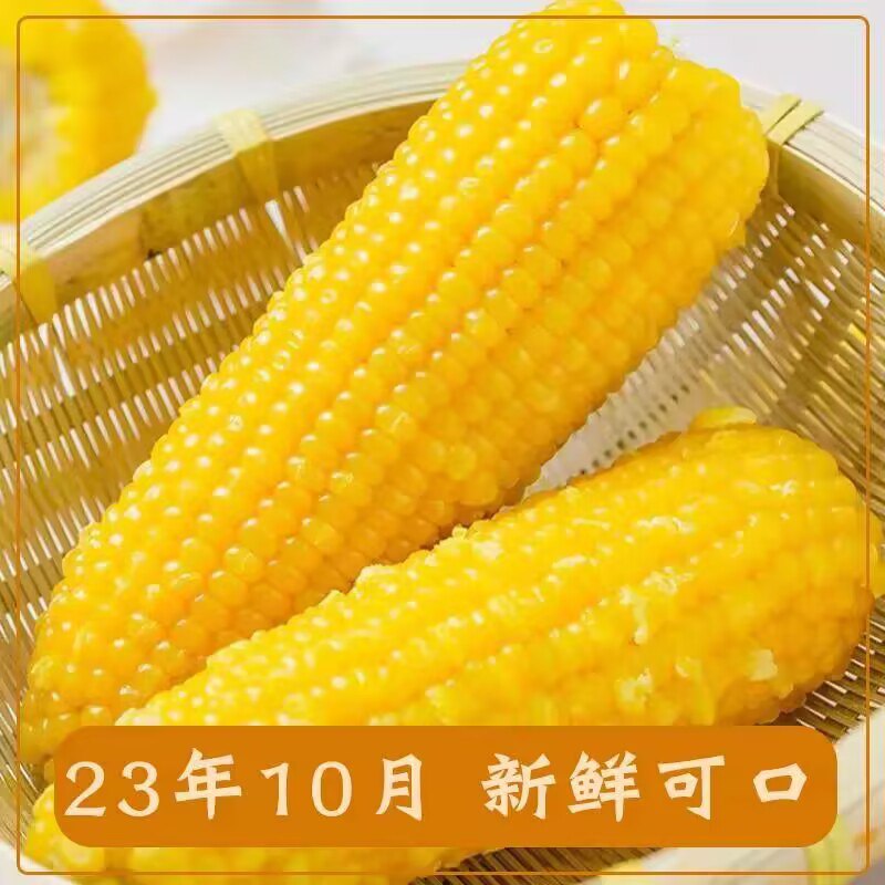 19.9💵 【皖岳集团】新鲜黄糯玉米棒250g*8根)A5TMWcf8fBn)/ CZ11//精选大棒新鲜可口 独立包装隔水清蒸 颗颗饱满晶莹剔透！每日红包 1111.fanli.me