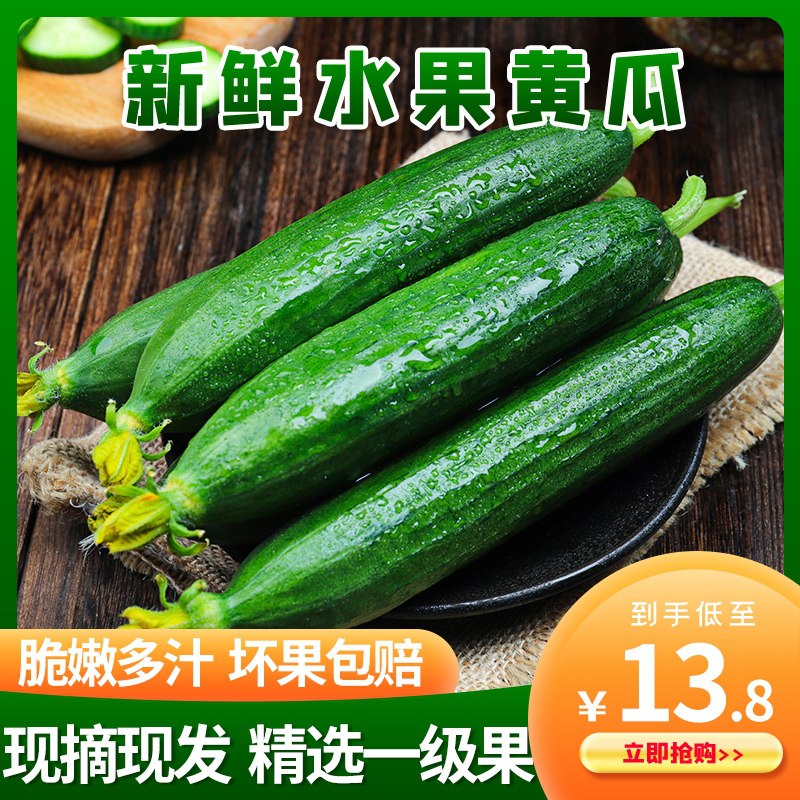 0店后下单 先领券10.8元跨店满减凑单 预计8.7元【寿光蔬菜官方旗舰店】寿光蔬菜现摘水果黄瓜3斤(HD9aXgpDKXn)/ ---每天都要领3️⃣次！记得哦👉