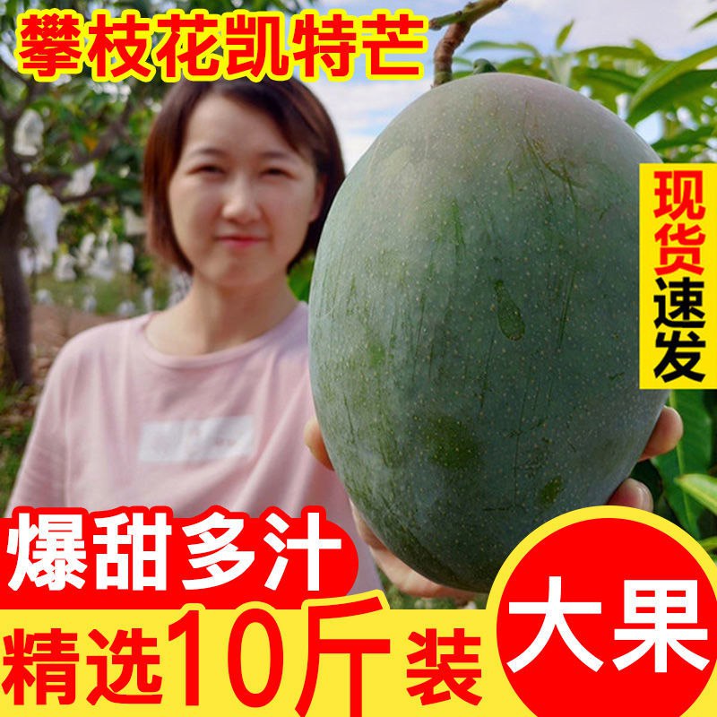 【现摘果】四川攀枝花凯特芒果当季新鲜水果吉禄芒甜心芒3/5/10斤，1.72元