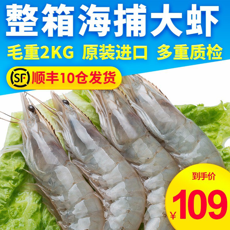 【大号】鲜活冻厄瓜多尔白虾4斤装共90-110只用10-礼 金，69