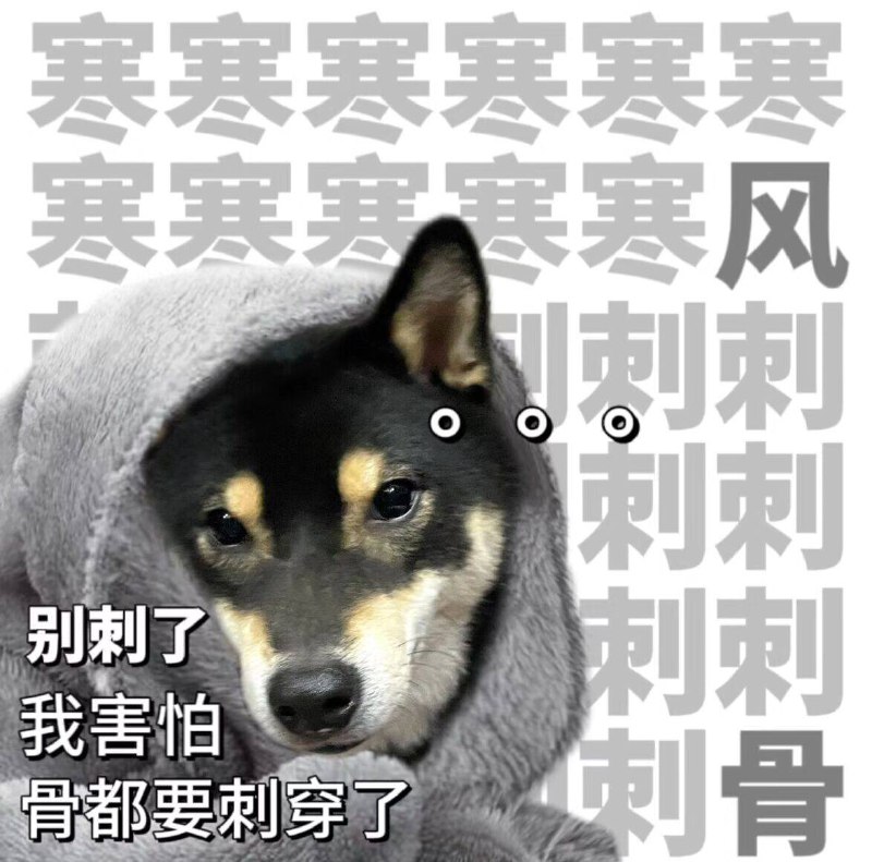 大牌鸭鸭🔥淡季好价拿下两张之内线下哪买得到á⁉️️马甲羽绒服 男女款都有的全拿下也就是线下一件的圿