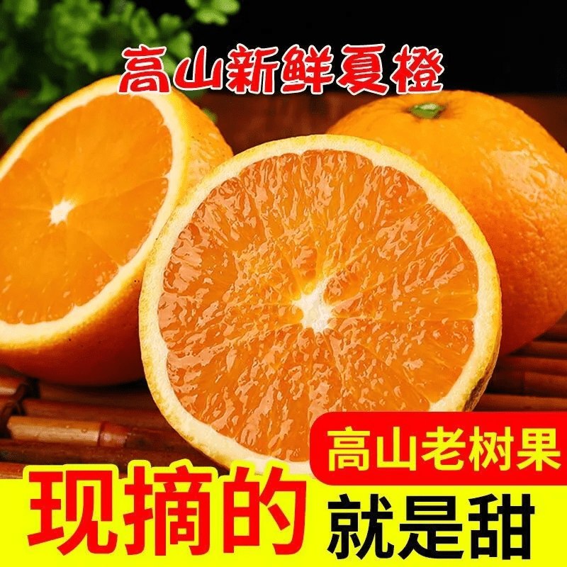 7.8元 果森然旗舰店纽荷尔当季新鲜脐橙3斤)4ZBy2ynbm6U)/ CZ11/现摘现发 坏果包赔