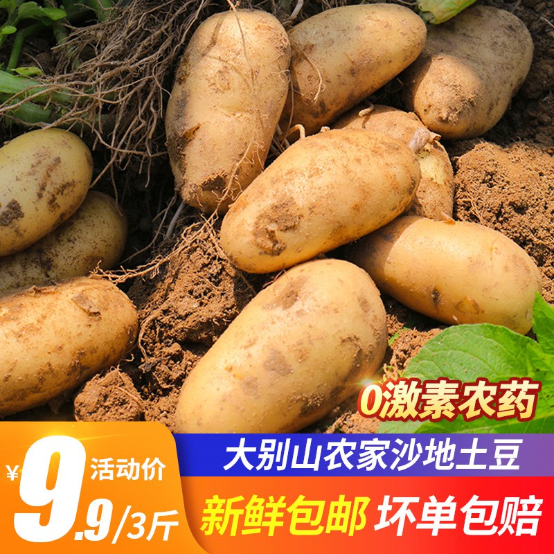 0点开始先领券3.9元【缘琳山食品旗舰店】农家自种新鲜马铃薯3斤(Xzty2G96App)/