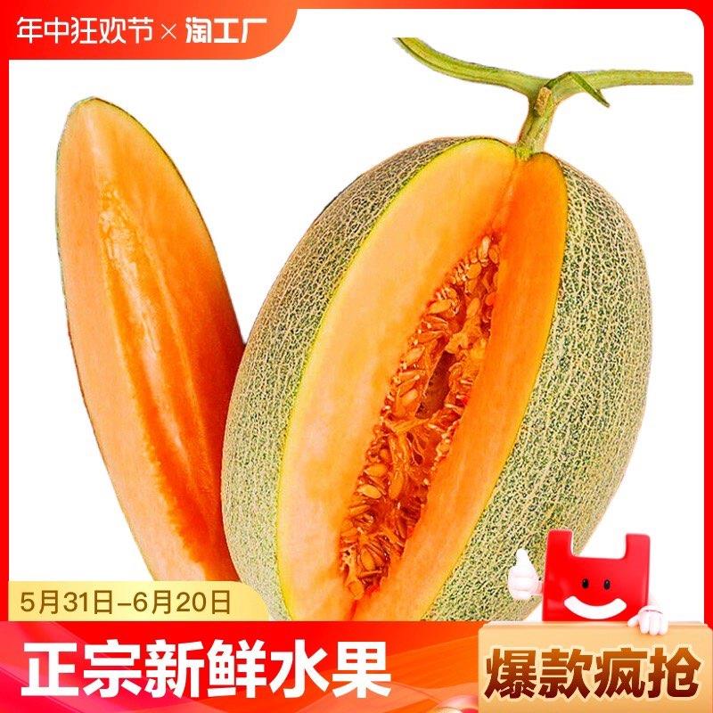 / CZ7677 [CQ:face,id=79]zWWWCb0Lox/:/ CZ00海南哈密瓜5斤凑后2.4亓------𝙅𝘿  超级红包u.jd.com/ksO3wQA