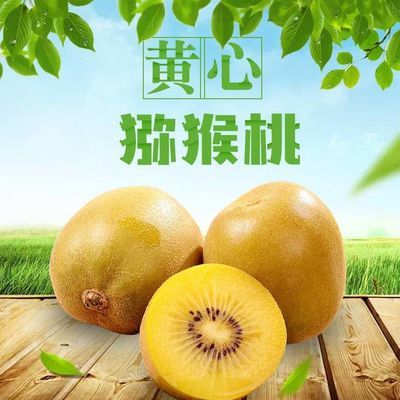 四川蒲江黄心猕猴桃奇异果当季新鲜水果多规格可选，4.8元