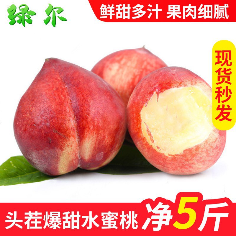 新鲜水蜜桃 净5斤16.8元，全网最低价！ 