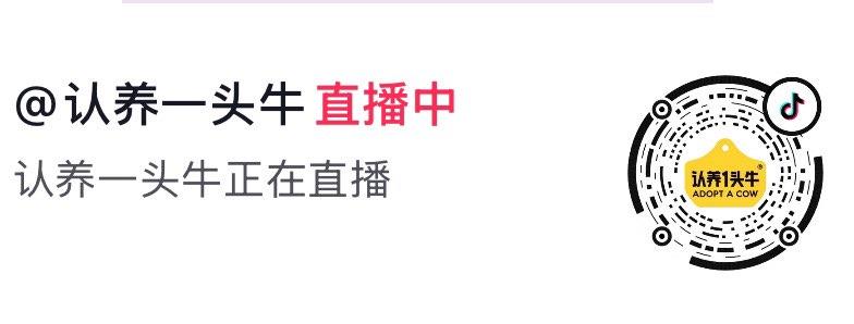 Dy认养一头牛2箱24.9亓