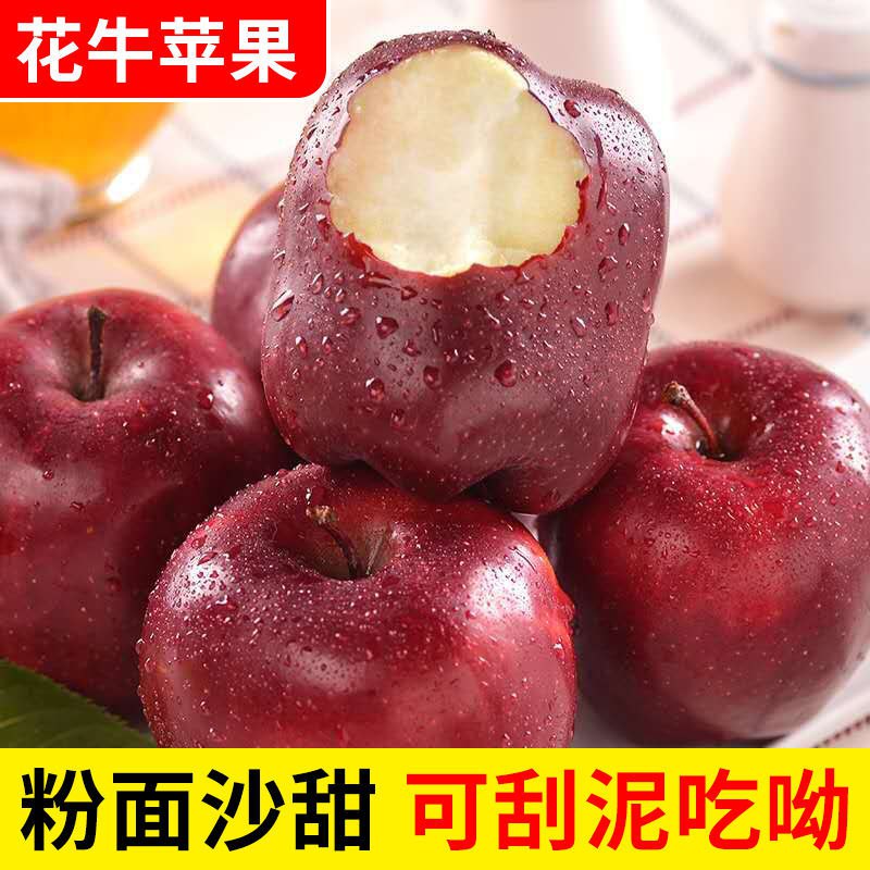 【粉面沙甜】新鲜甘肃花牛苹果水果国产蛇果红苹果可刮泥非红富士，5.5元