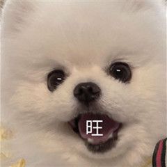 准备开始0点时间