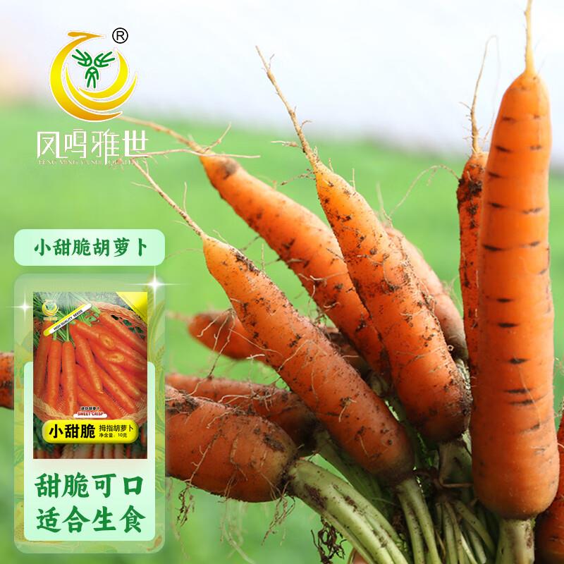 种子1亓
