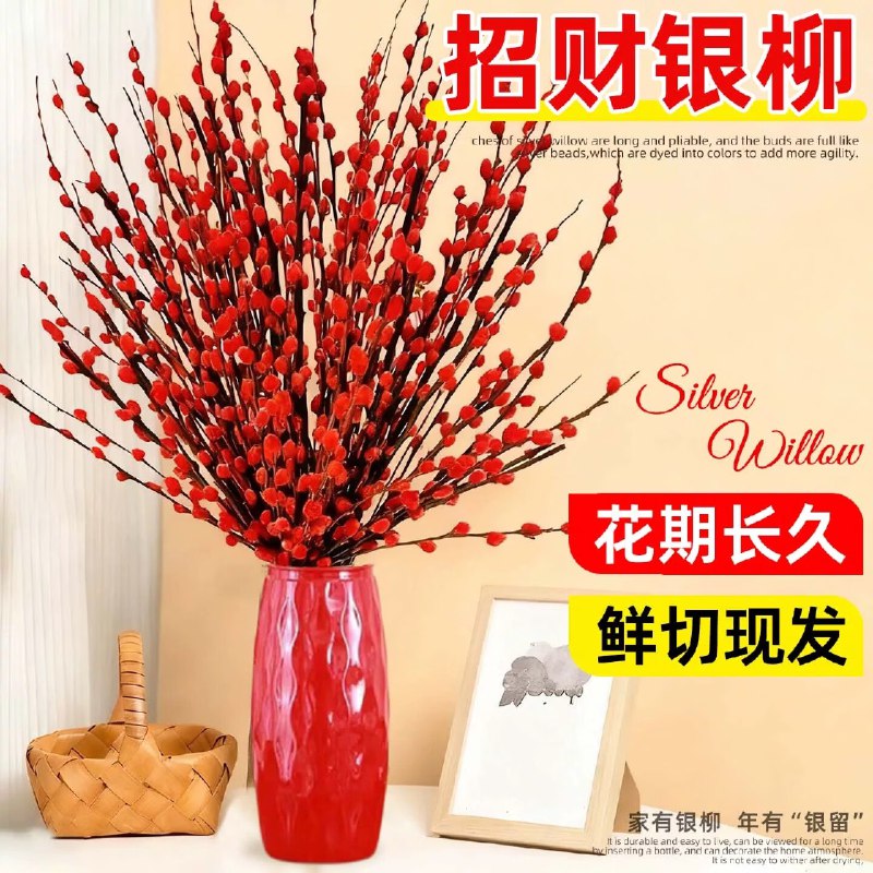 12.9元 ToSpring 银柳20枝+花瓶+挂卡