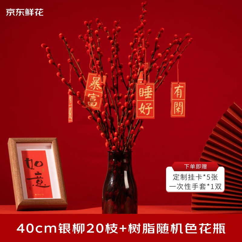 京东鲜花 年宵银柳20枝40cm加花瓶加挂卡