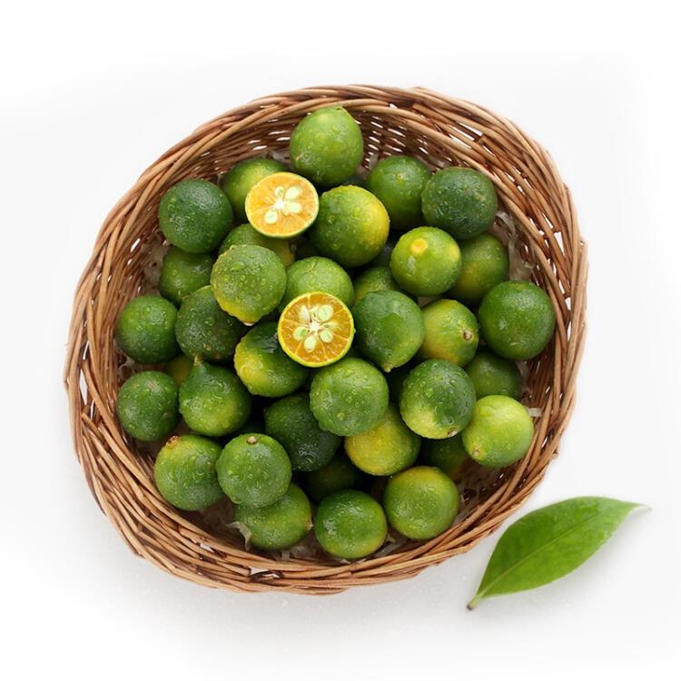 海南小青柠/青桔 500g 莫吉托 