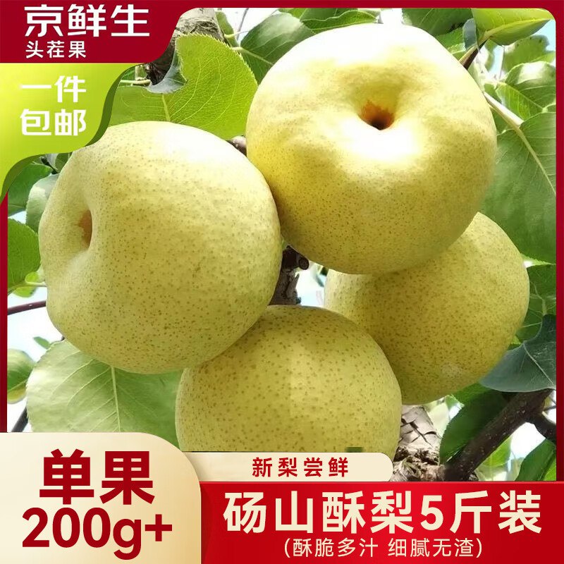 自营京鲜生 安徽砀山酥梨净重5斤 单果200g+