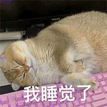 愿你所有的努力，所有的付出都能得到温柔的回应